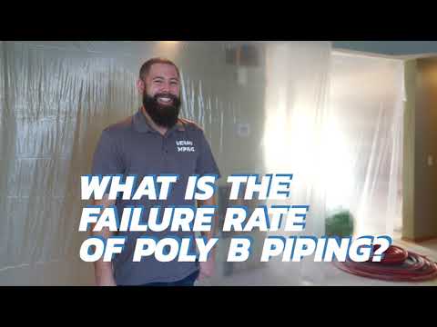 The Truth About Poly B Failure Rate
