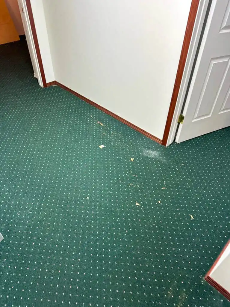 Crossfield Poly B Replacement | Calgary – Case Study #617 27