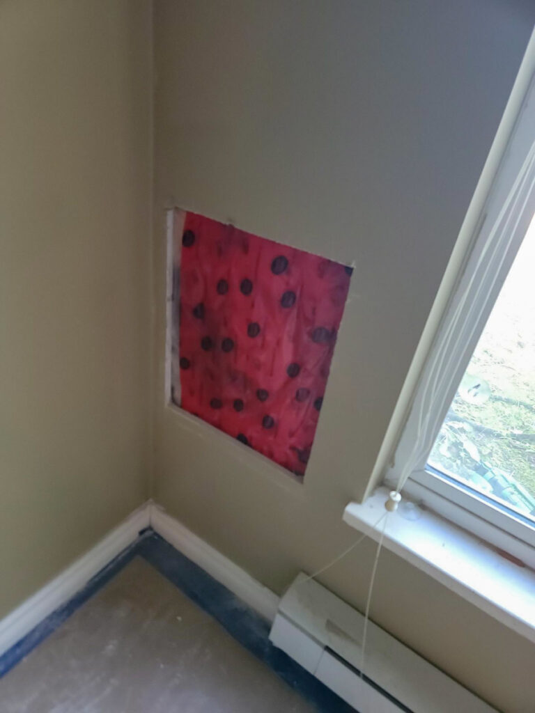 Ladner Bathroom Reno Poly B Replacement | Delta – Case Study #394 104 delta renovation poly b replacement 105