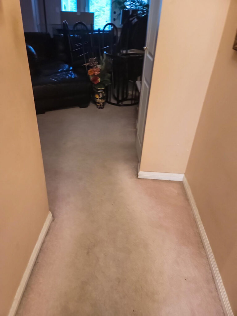 Ladner Bathroom Reno Poly B Replacement | Delta – Case Study #394 12 delta renovation poly b replacement 13