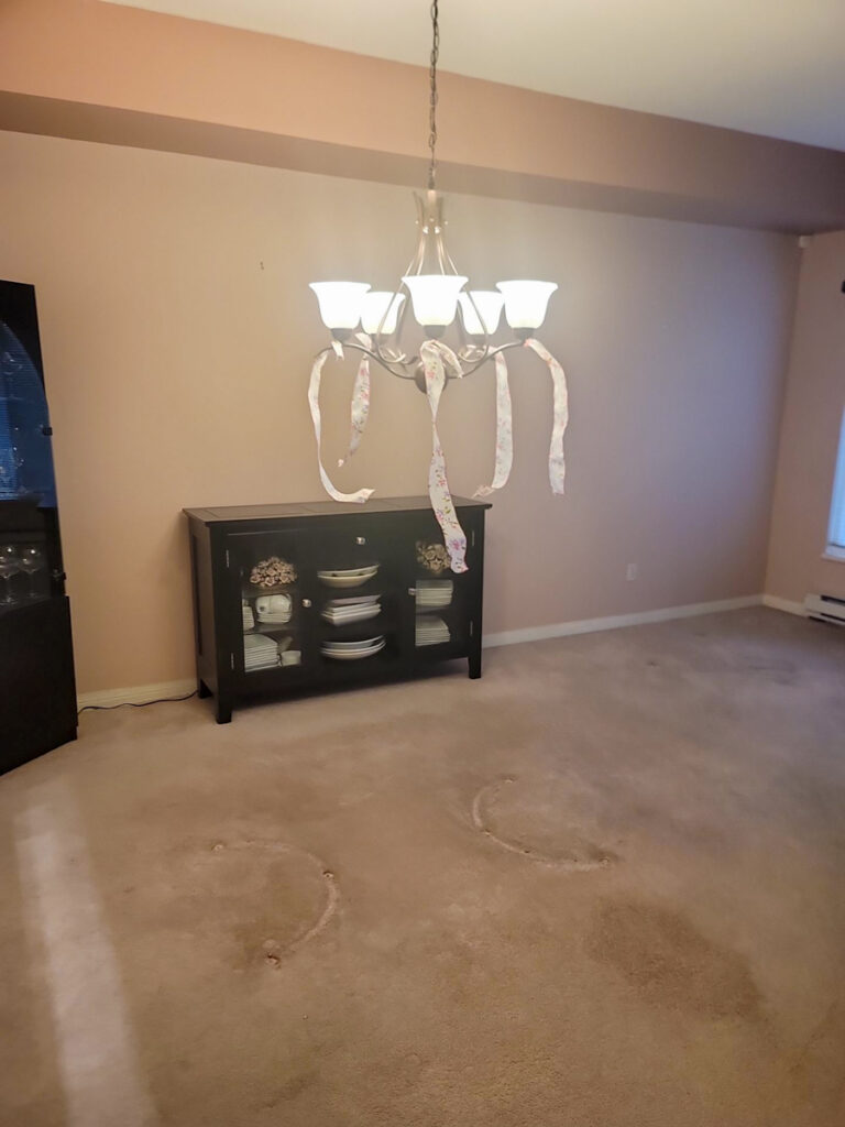 Ladner Bathroom Reno Poly B Replacement | Delta – Case Study #394 20 delta renovation poly b replacement 21