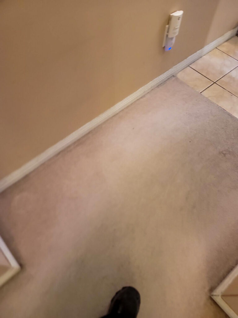 Ladner Bathroom Reno Poly B Replacement | Delta – Case Study #394 25 delta renovation poly b replacement 26