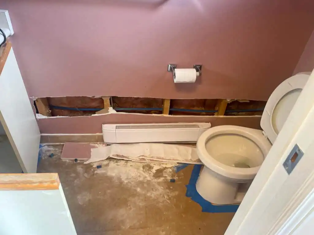Ladner Bathroom Reno Poly B Replacement | Delta – Case Study #394 70 Ladner Bathroom Reno Poly B Replacement | Delta – Case Study #394 69