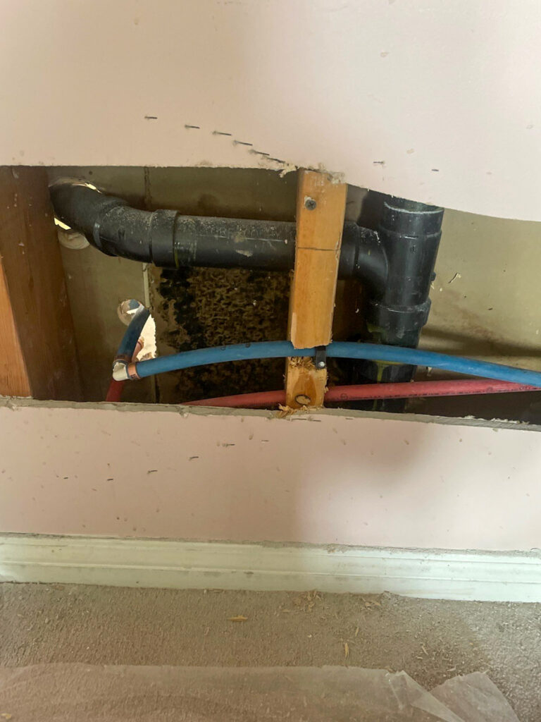 Ladner Bathroom Reno Poly B Replacement | Delta – Case Study #394 47 delta renovation poly b replacement 48