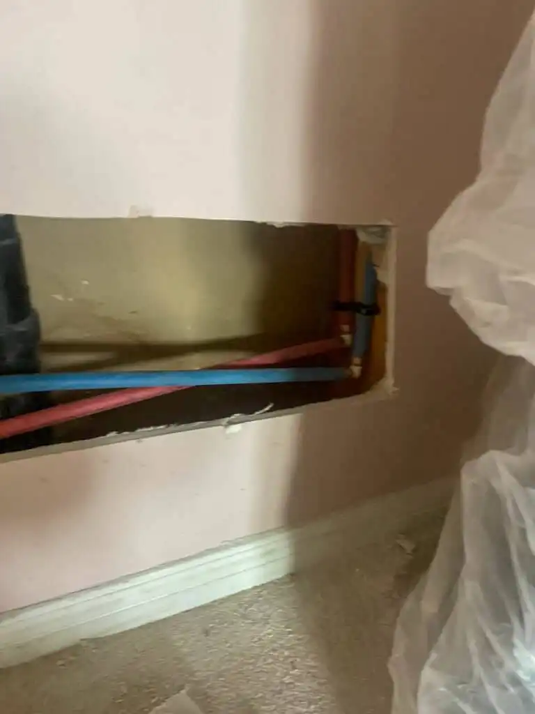 Ladner Bathroom Reno Poly B Replacement | Delta – Case Study #394 96 Ladner Bathroom Reno Poly B Replacement | Delta – Case Study #394 95