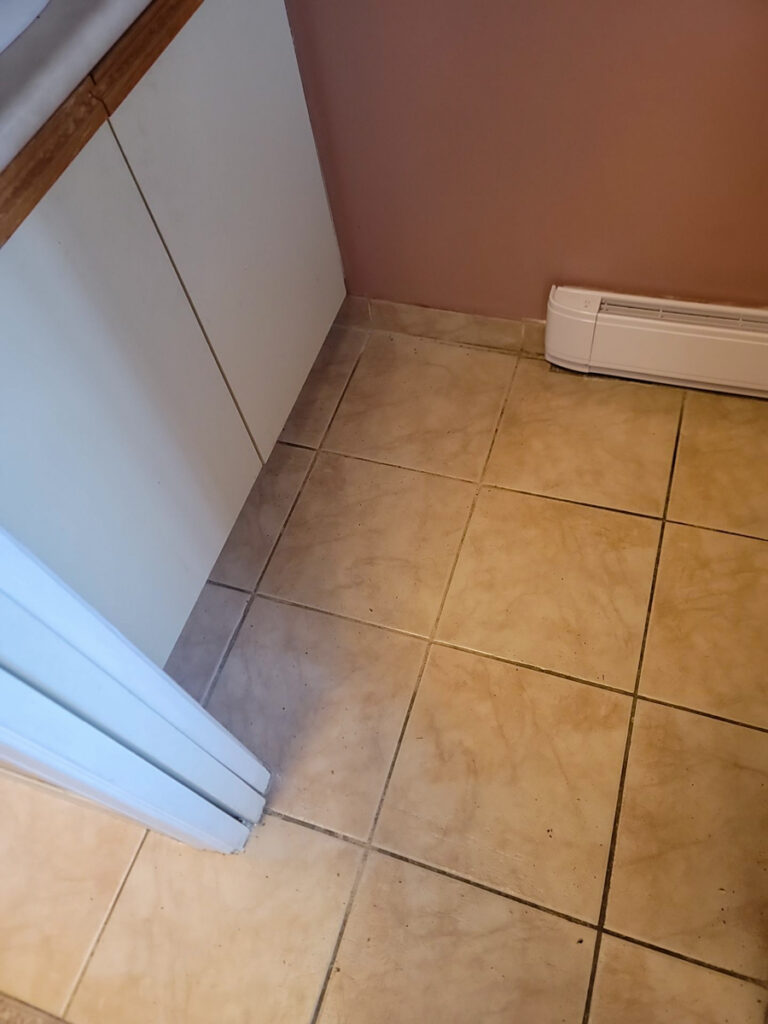 Ladner Bathroom Reno Poly B Replacement | Delta – Case Study #394 6 delta renovation poly b replacement 7