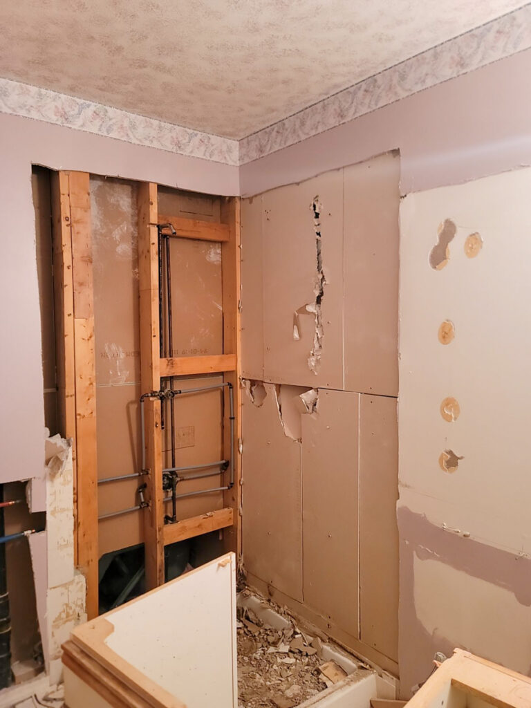 Ladner Bathroom Reno Poly B Replacement | Delta – Case Study #394 79 delta renovation poly b replacement 80