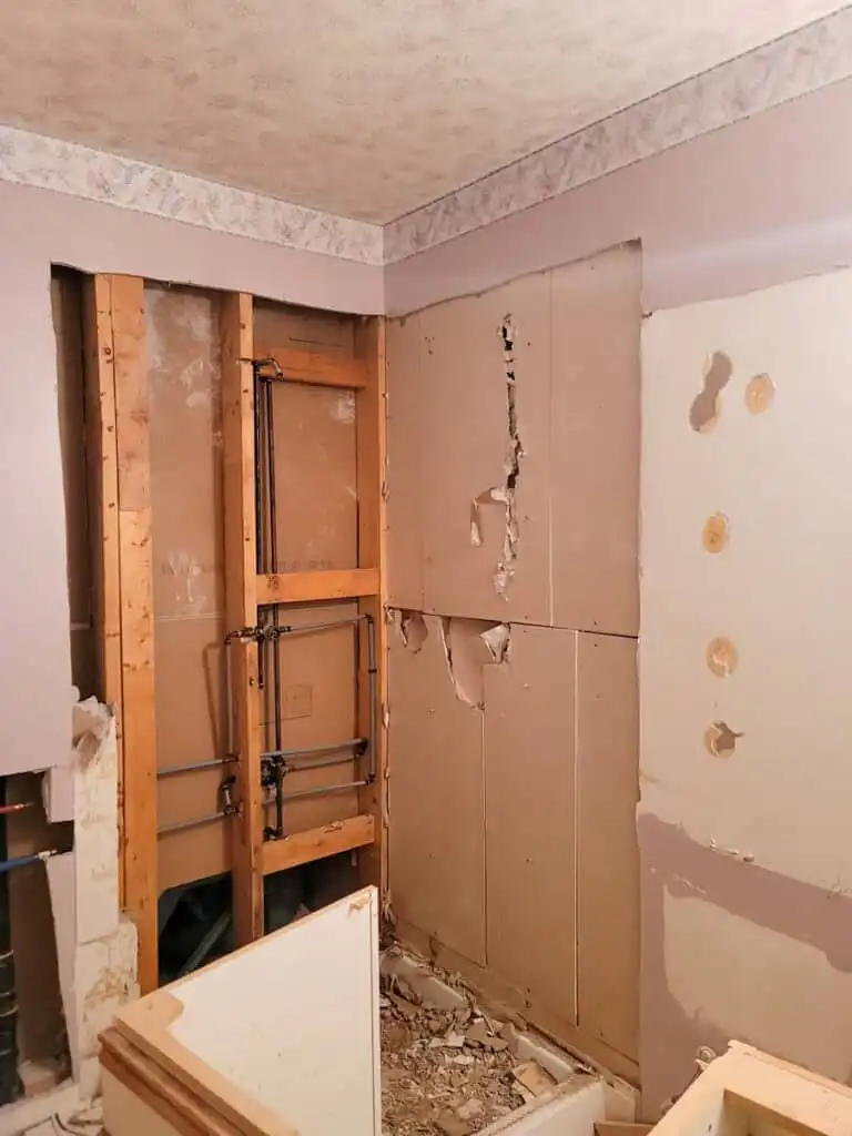 Ladner Bathroom Reno Poly B Replacement | Delta – Case Study #394 158 Ladner Bathroom Reno Poly B Replacement | Delta – Case Study #394 157