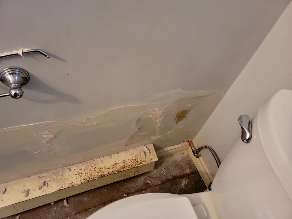 Ladner Bathroom Reno Poly B Replacement | Delta – Case Study #394 98 delta renovation poly b replacement 99