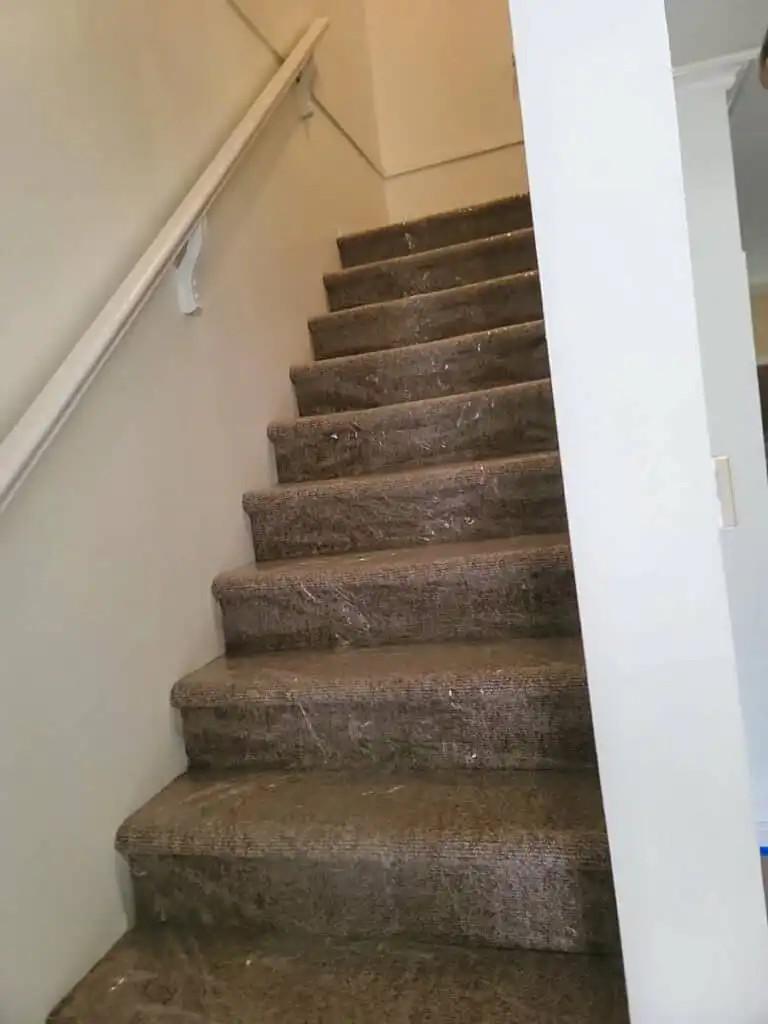 Delta Repipe Poly B Replacement | Ladner – Case Study #464 43