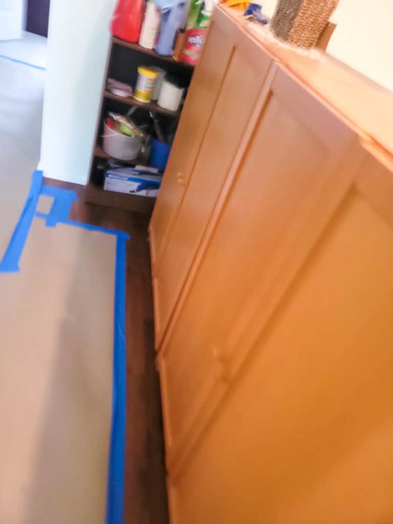 Delta Repipe Poly B Replacement | Ladner – Case Study #464 92 Delta Repipe Poly B Replacement | Ladner – Case Study #464 91