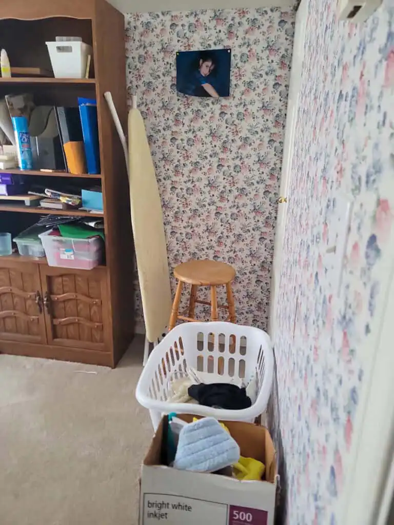 Delta Repipe Poly B Replacement | Ladner – Case Study #464 106 Delta Repipe Poly B Replacement | Ladner – Case Study #464 105