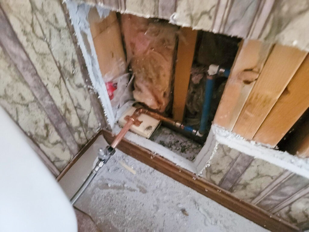 Delta Repipe Poly B Replacement | Ladner – Case Study #464 124 Delta Repipe Poly B Replacement | Ladner – Case Study #464 123