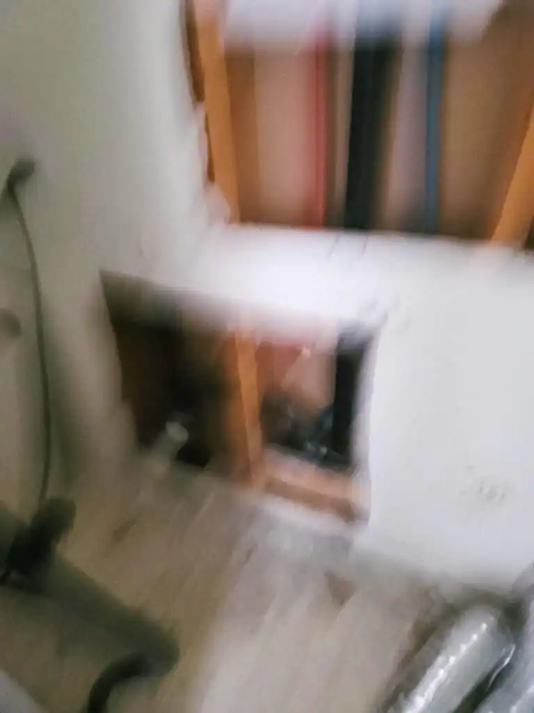 Delta Repipe Poly B Replacement | Ladner – Case Study #464 164 Delta Repipe Poly B Replacement | Ladner – Case Study #464 163