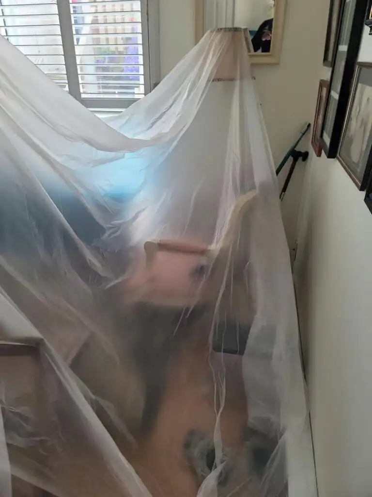 Delta Repipe Poly B Replacement | Ladner – Case Study #464 17