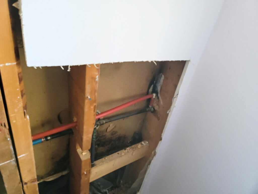 Delta Complex Poly B Replacement | Ladner – Case Study #385 93