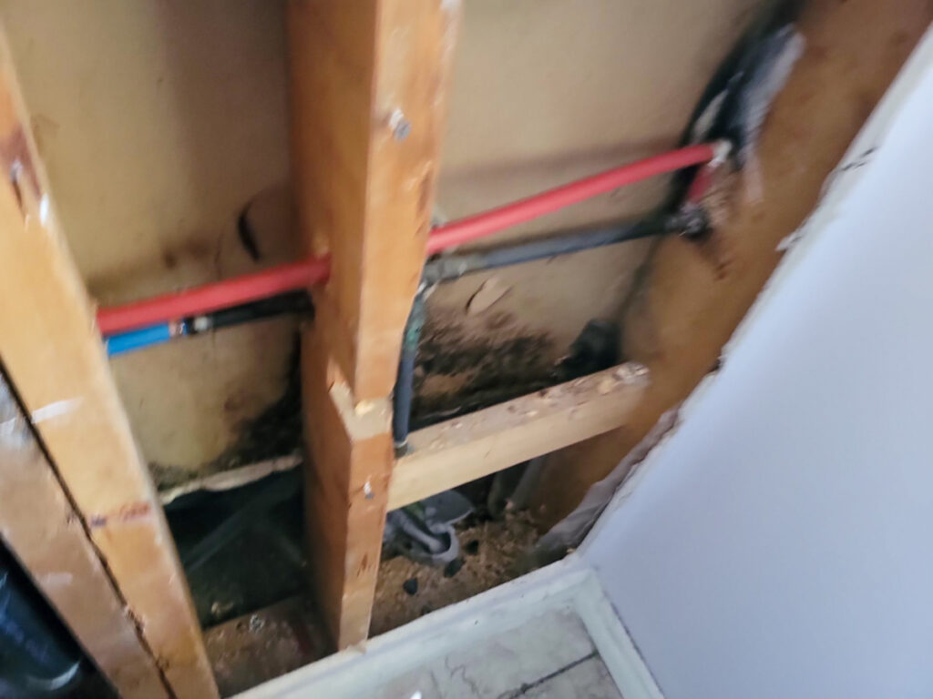 Delta Complex Poly B Replacement | Ladner – Case Study #385 95