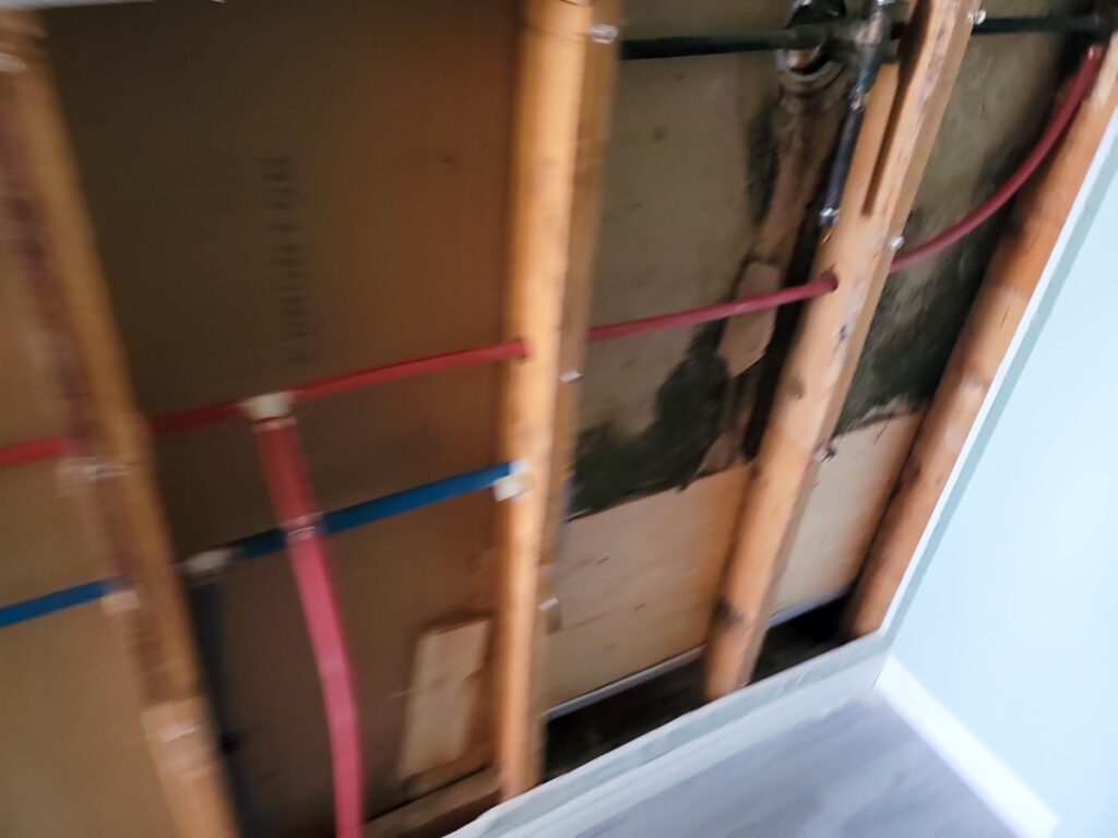 Delta Complex Poly B Replacement | Ladner – Case Study #385 117