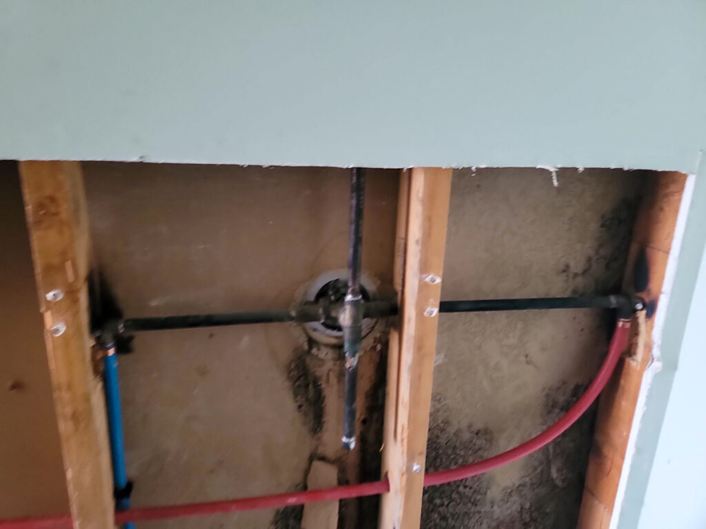 Delta Complex Poly B Replacement | Ladner – Case Study #385 119