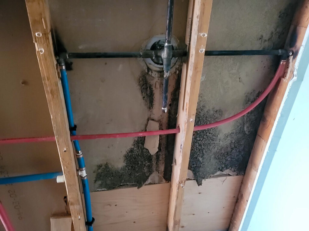 Delta Complex Poly B Replacement | Ladner – Case Study #385 121