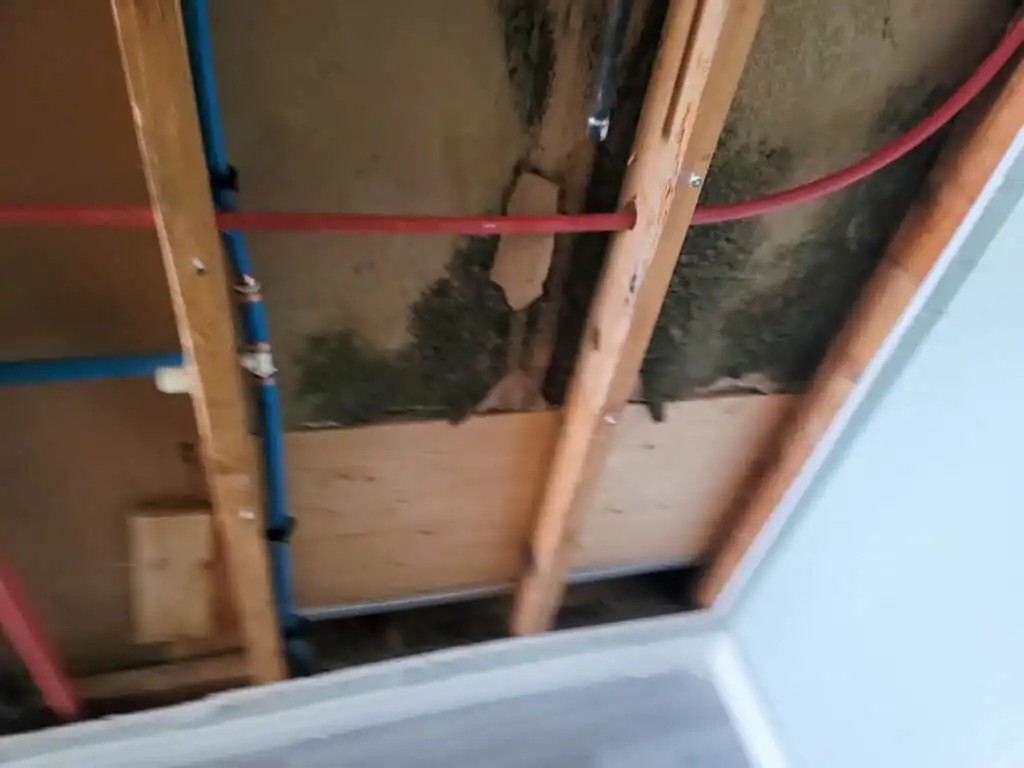 Delta Complex Poly B Replacement | Ladner – Case Study #385 123