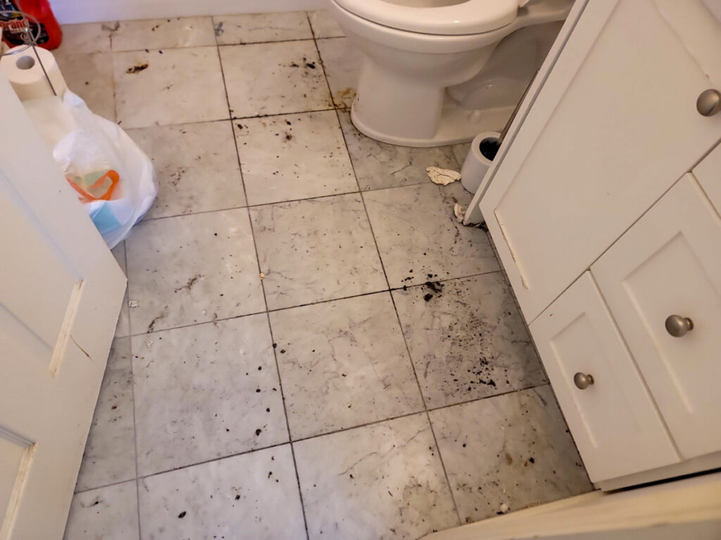 Delta Complex Poly B Replacement | Ladner – Case Study #385 131