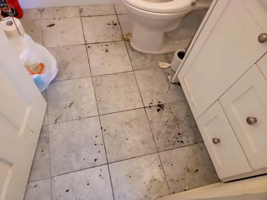 Delta Complex Poly B Replacement | Ladner – Case Study #385 131