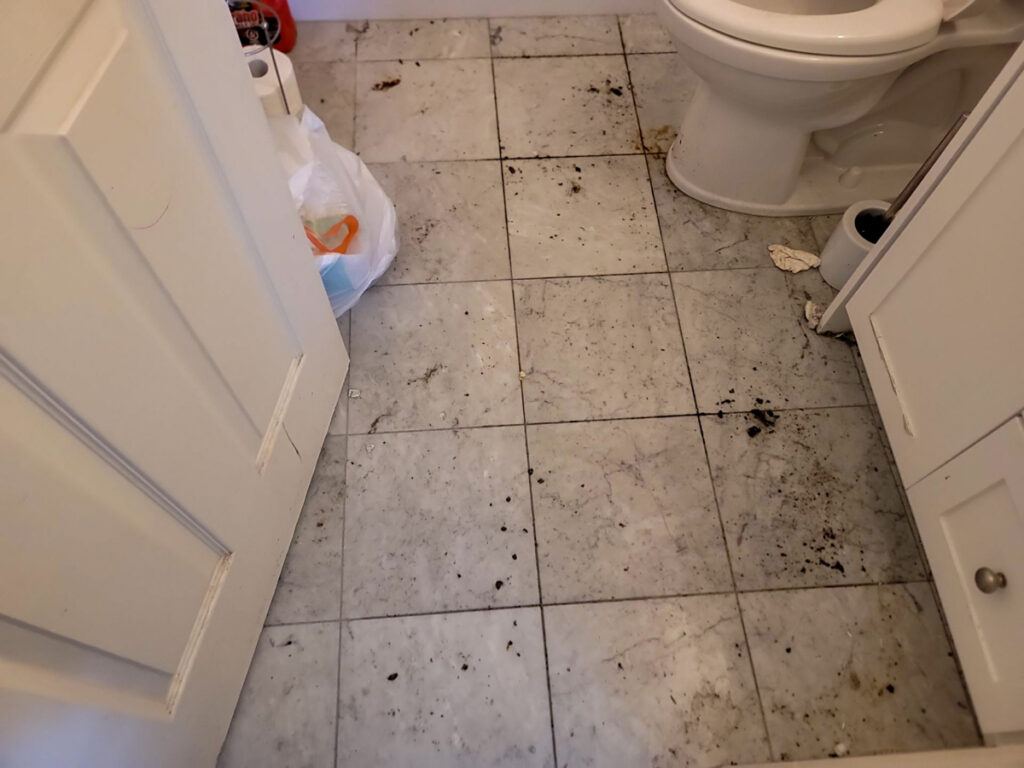 Delta Complex Poly B Replacement | Ladner – Case Study #385 133