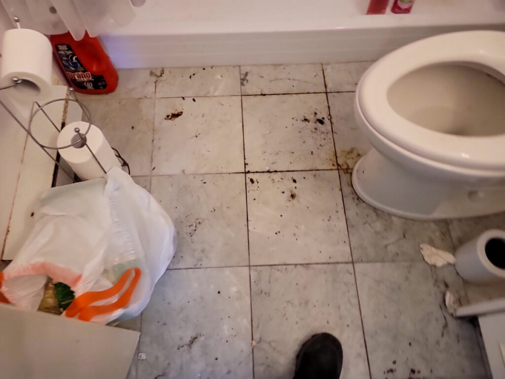 Delta Complex Poly B Replacement | Ladner – Case Study #385 135