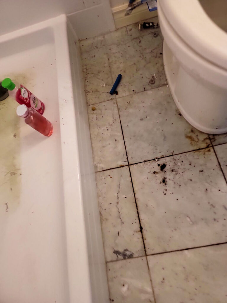 Delta Complex Poly B Replacement | Ladner – Case Study #385 137