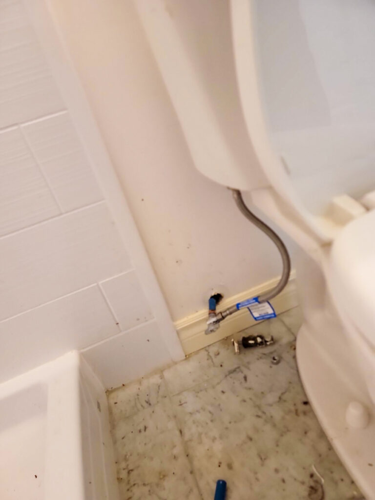 Delta Complex Poly B Replacement | Ladner – Case Study #385 139