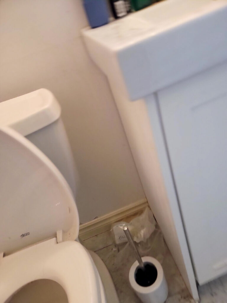 Delta Complex Poly B Replacement | Ladner – Case Study #385 141