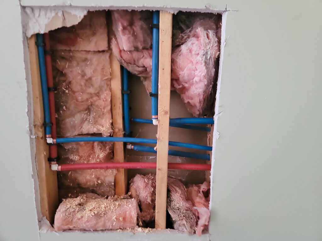 Delta Complex Poly B Replacement | Ladner – Case Study #385 155