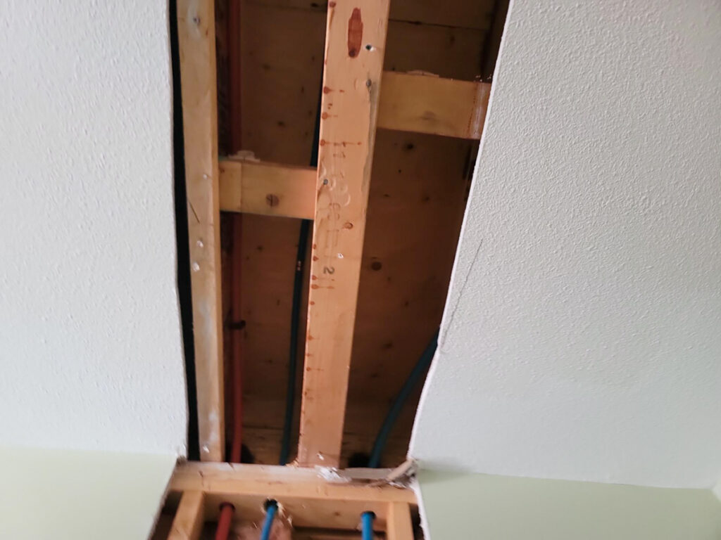 Delta Complex Poly B Replacement | Ladner – Case Study #385 159