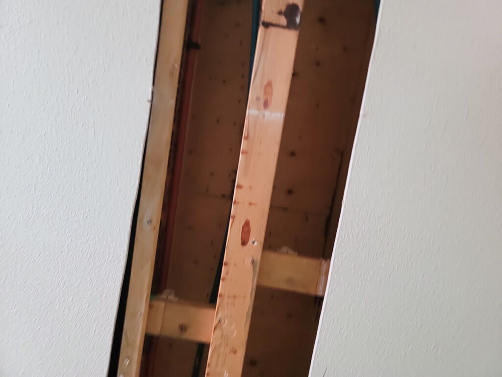 Delta Complex Poly B Replacement | Ladner – Case Study #385 161