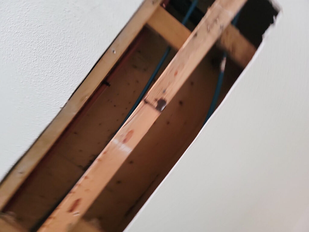 Delta Complex Poly B Replacement | Ladner – Case Study #385 163