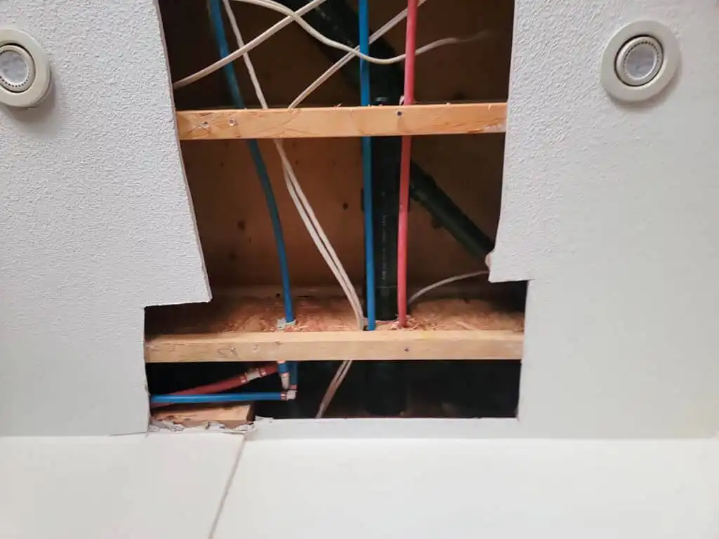 Delta Complex Poly B Replacement | Ladner – Case Study #385 185