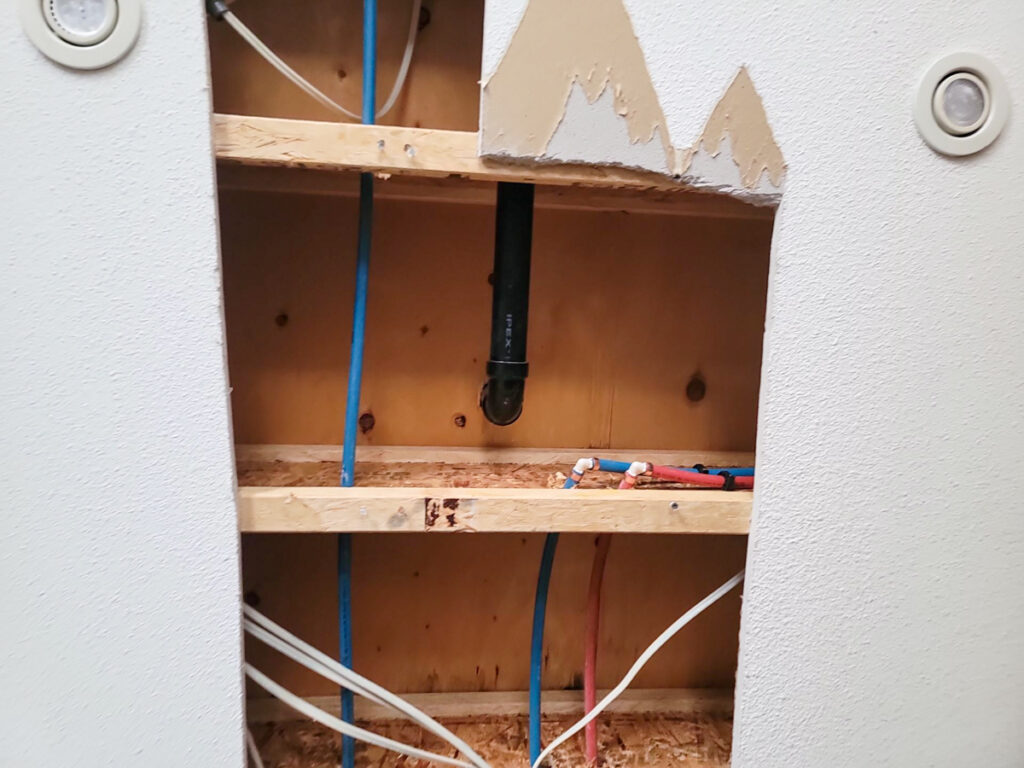 Delta Complex Poly B Replacement | Ladner – Case Study #385 193