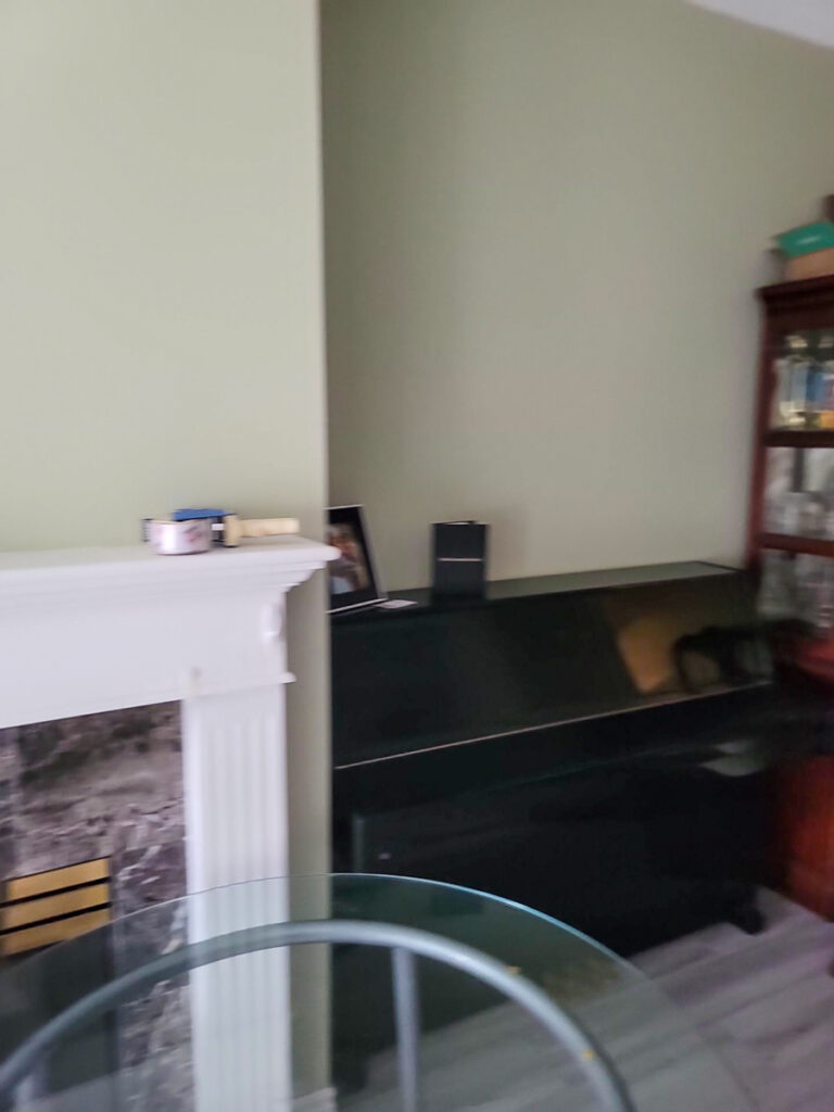 Delta Complex Poly B Replacement | Ladner – Case Study #385 27