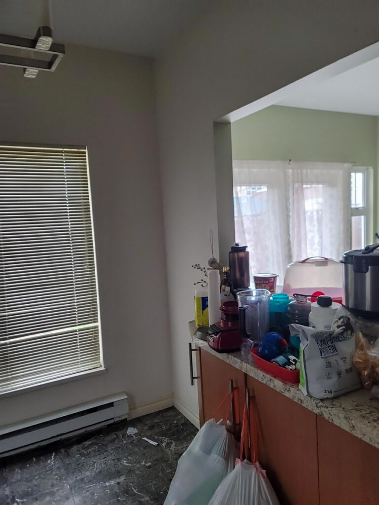 Delta Complex Poly B Replacement | Ladner – Case Study #385 37