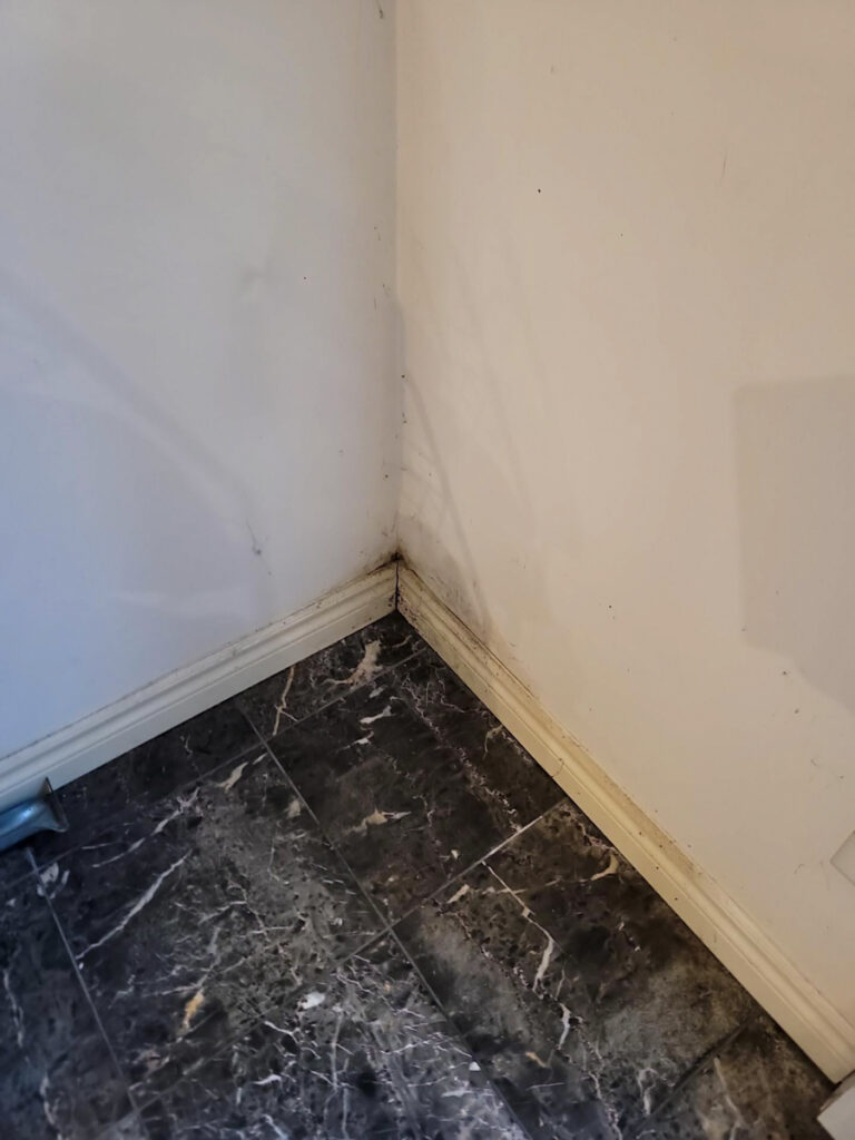 Delta Complex Poly B Replacement | Ladner – Case Study #385 49