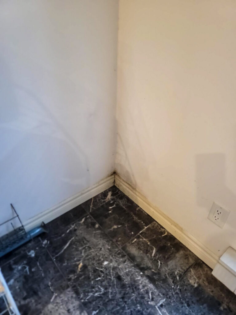 Delta Complex Poly B Replacement | Ladner – Case Study #385 51