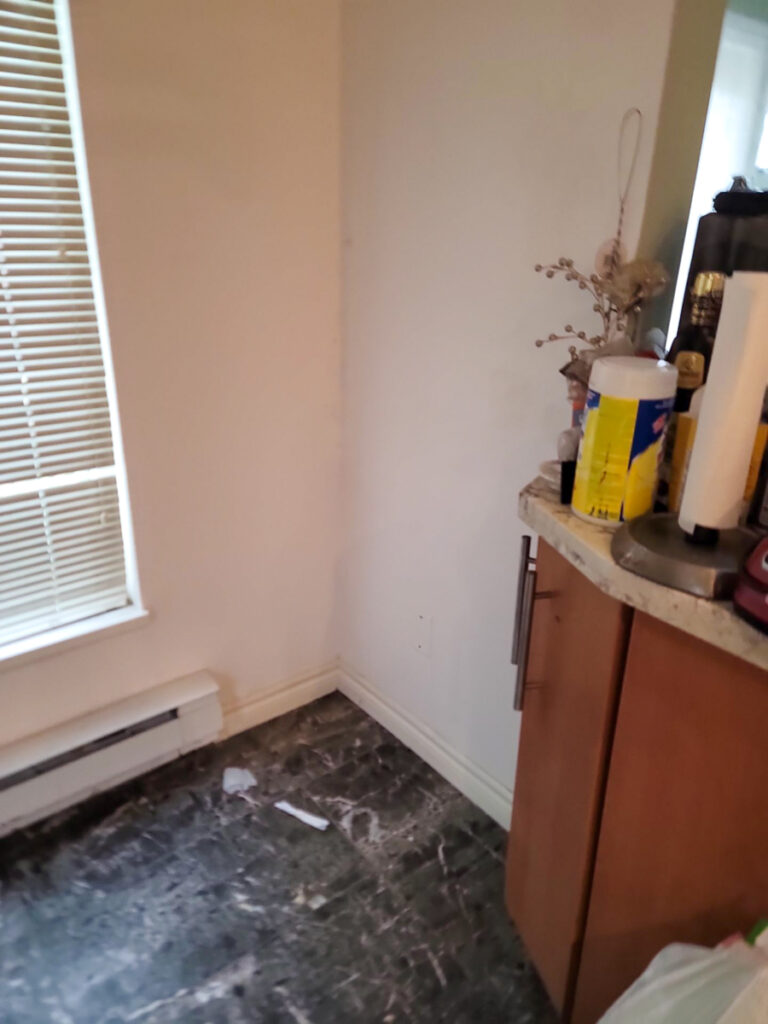 Delta Complex Poly B Replacement | Ladner – Case Study #385 57