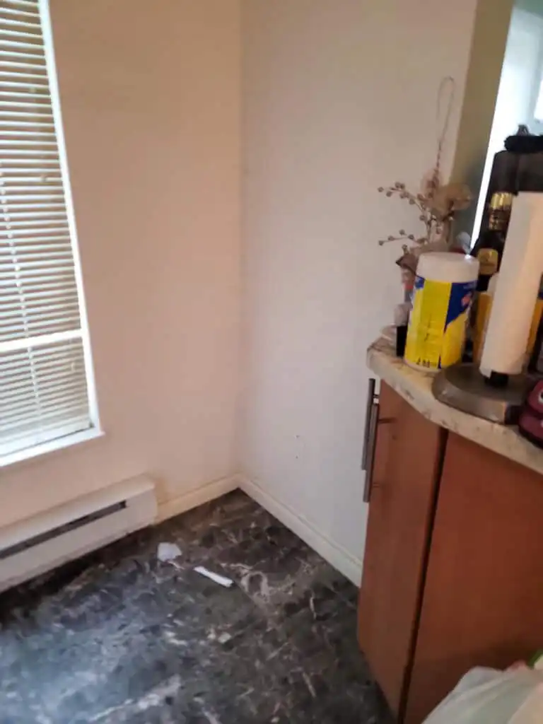 Delta Complex Poly B Replacement | Ladner – Case Study #385 57