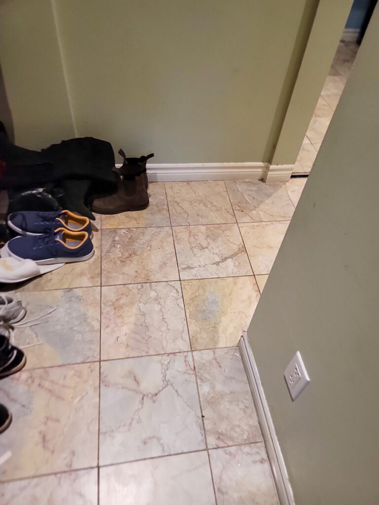 Delta Complex Poly B Replacement | Ladner – Case Study #385 7