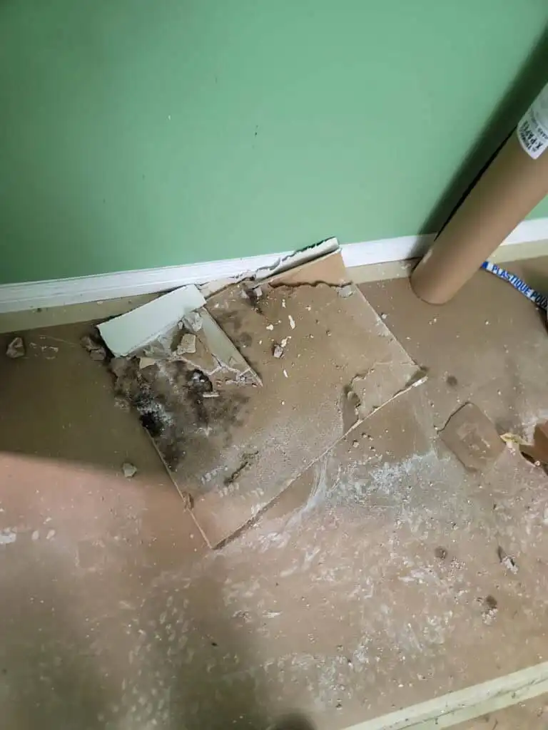 Ladner Strata Poly B Replacement | Delta – Case Study #391 168 Ladner Strata Poly B Replacement | Delta – Case Study #391 167