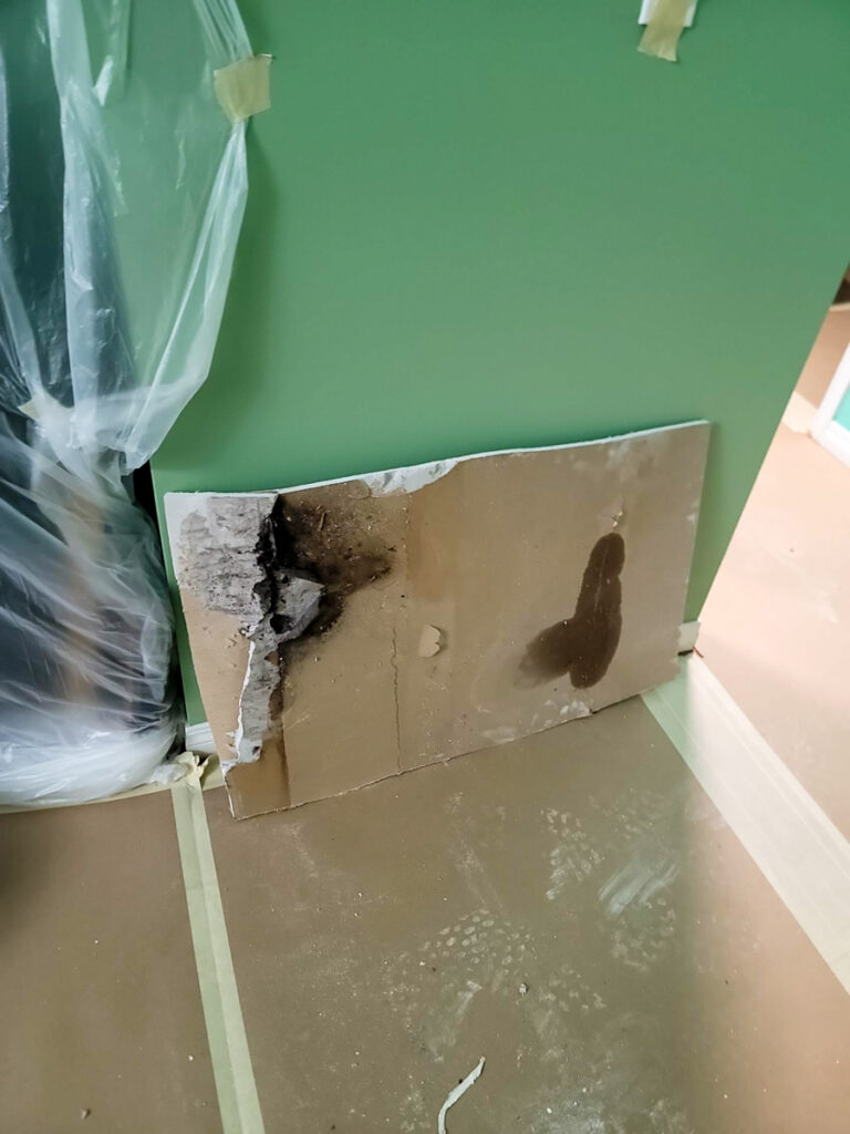 Ladner Strata Poly B Replacement | Delta – Case Study #391 170 Ladner Strata Poly B Replacement | Delta – Case Study #391 169