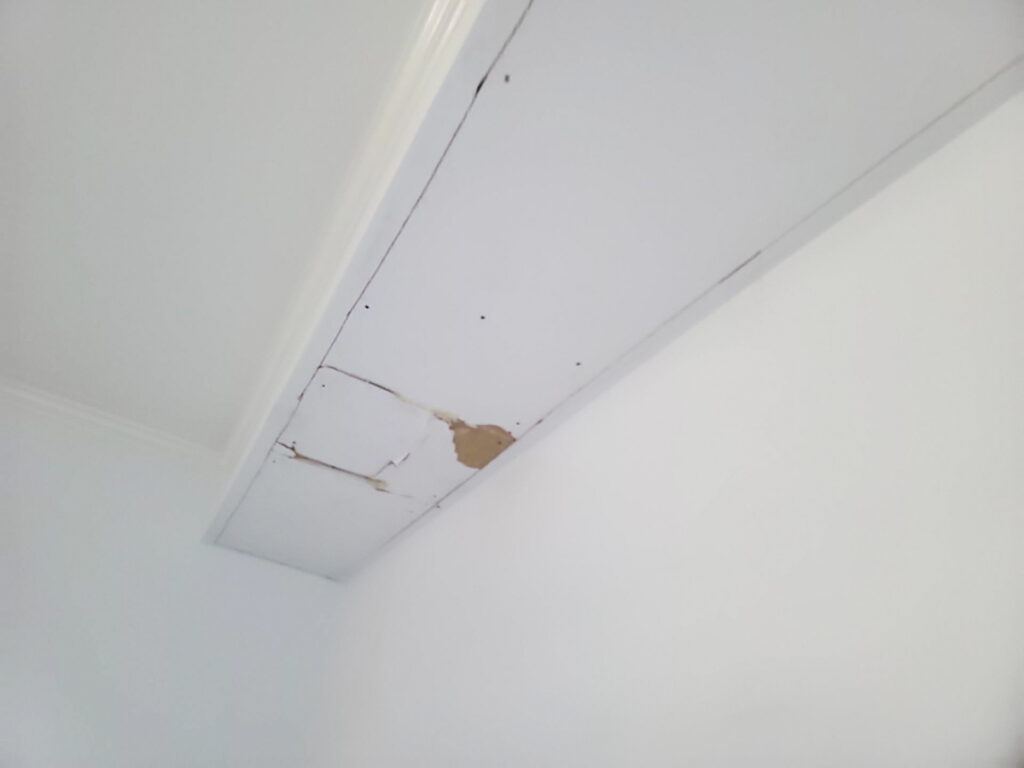 Delta Strata Poly B Replacement | Ladner – Case Study #389 6 Delta Strata Poly B Replacement | Ladner – Case Study #389 5