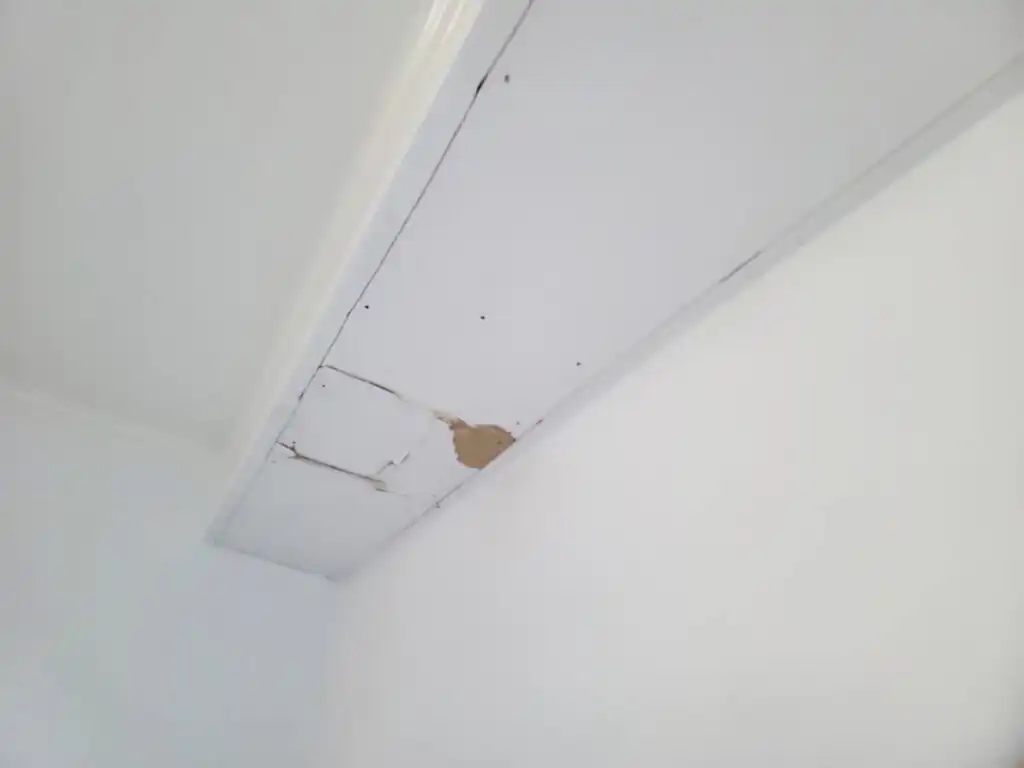 Delta Strata Poly B Replacement | Ladner – Case Study #389 6 Delta Strata Poly B Replacement | Ladner – Case Study #389 5