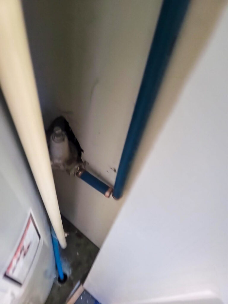 Delta Strata Poly B Replacement | Ladner – Case Study #389 54 Delta Strata Poly B Replacement | Ladner – Case Study #389 53